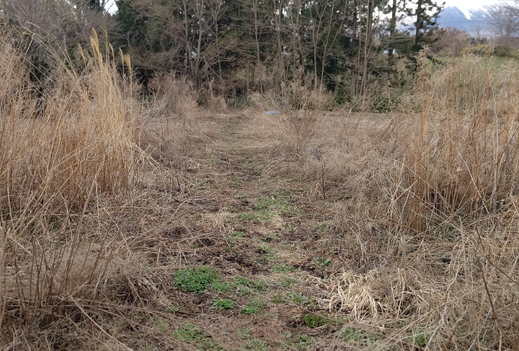 国庫帰属制度について